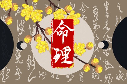 紫星命盘_天机文墨紫微斗数_紫微运势_专业命盘_八字命宫吉凶排盘