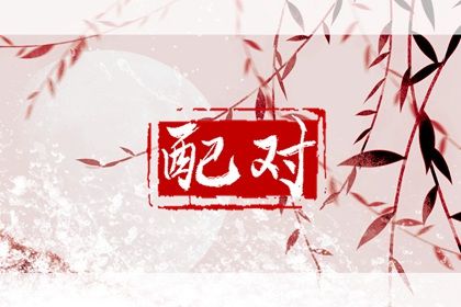 现代婚恋中的合婚角色
